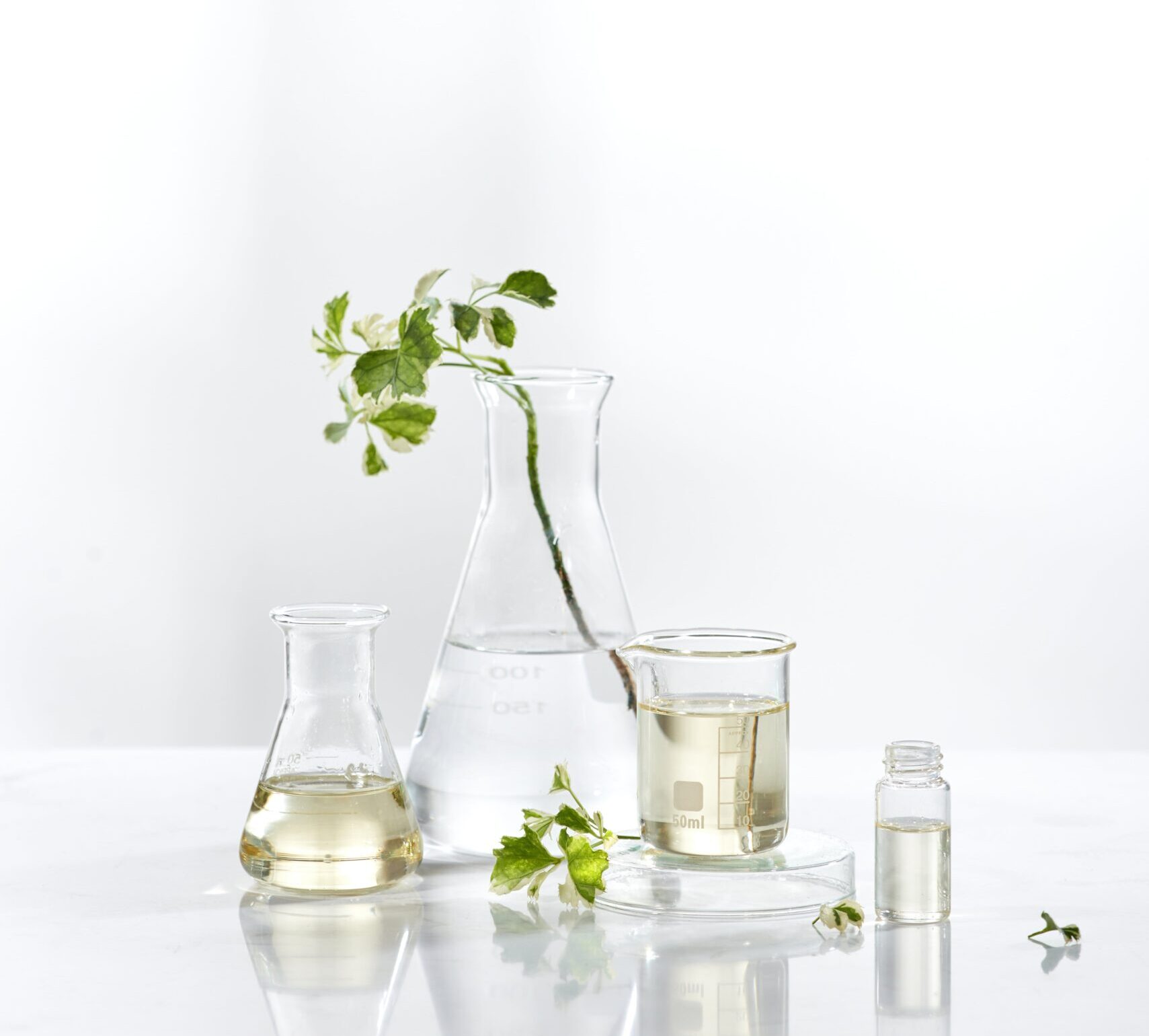 Bienfaits des extraits de feuilles de Neem pour le corps